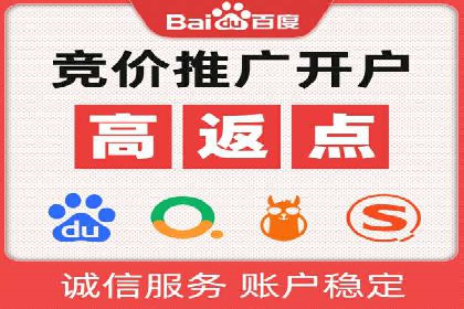 SEM公司案例研究：数据驱动营销策略